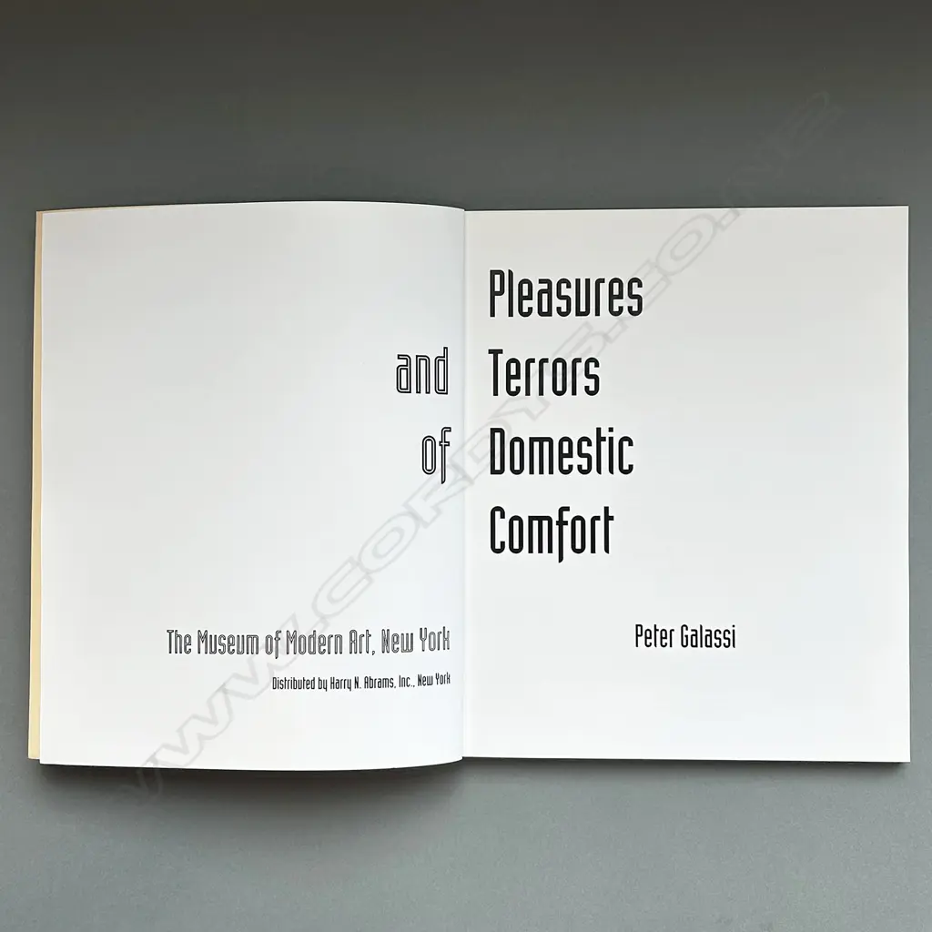 PETER GALASSI: PLEASURES AND TERRORS OF DOMESTIC COMFORT Image 1++